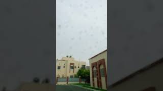 مطر