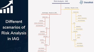 SAP IAG Risk Analysis