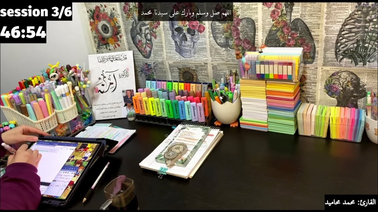 STUDY WITH ME LIVE 🐬 POMODORO 60/10 |6 H| ادرس معي 6 ساعات بث مباشر مع تلاوة القران الكريم