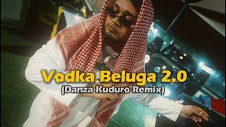 Vodka Beluga 2.0 - Danza Kuduro Remix & Mashup (Tiktok Viral Hits)