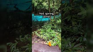 태국 피피섬 바다 태국섬투어 #태국자유여행 #phiphiislands #travel #phiphi #피피섬 #끄라비여행 #끄라비