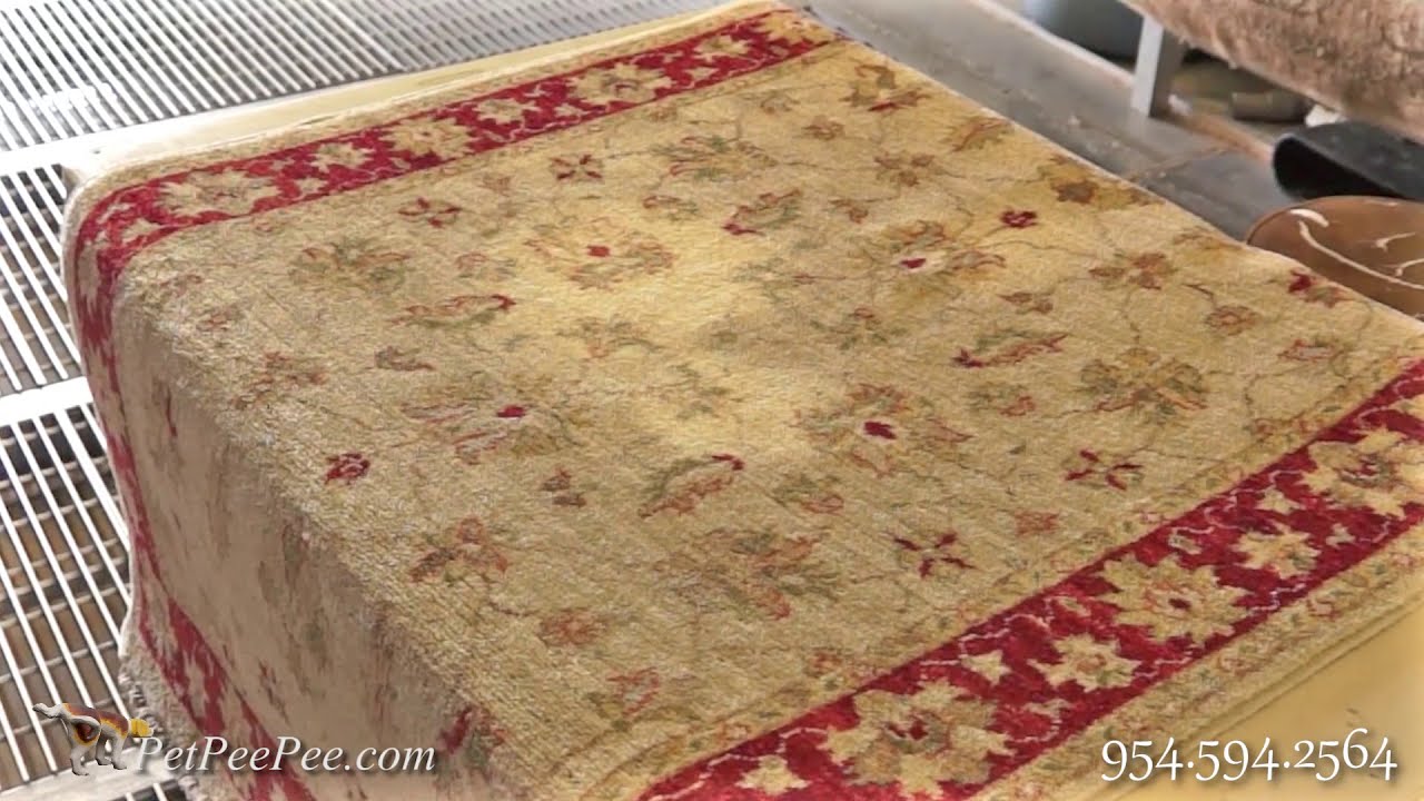 Fresh Yellow Stains Can Be Remove From Wool Silk Oriental Rug Pet You