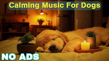 12 HOURS of Dog Calming Music For Dogs🎵💖Anti Separation Anxiety Relief Music🐶Sleep dog Healing🎵