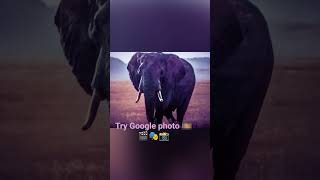 if you love pictures you will love Google photos 📸🎞️🎬🎭👍