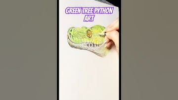 Vibrant Green Tree Python: A Pencil-Perfect Portrait! #wildlifeart #reptileart