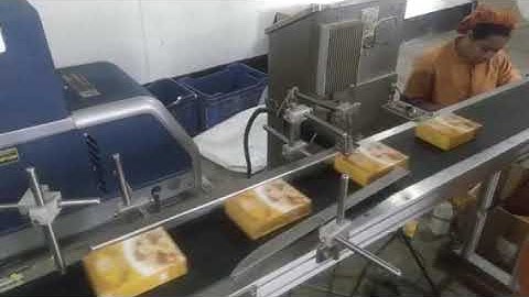 SKX100 Soap Cartoning Machine