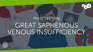 Magna parva saphena