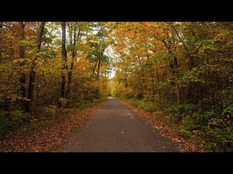 Video: Nebraska'daki en yaygın ağaç nedir?