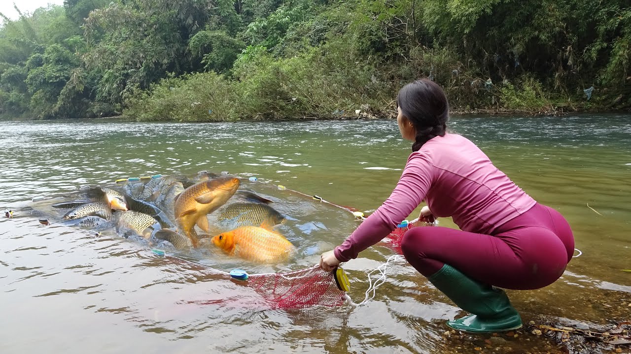 Fishing Techniques In Streams, Uses Bait to Attract Fish Pulling The Nets Catch a Lot of Fish