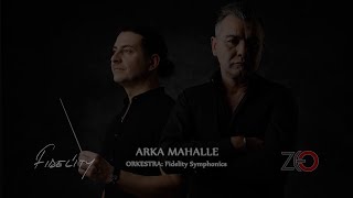 Fidelity - Arka Mahalle | Ahmet Kaya Cover Resimi
