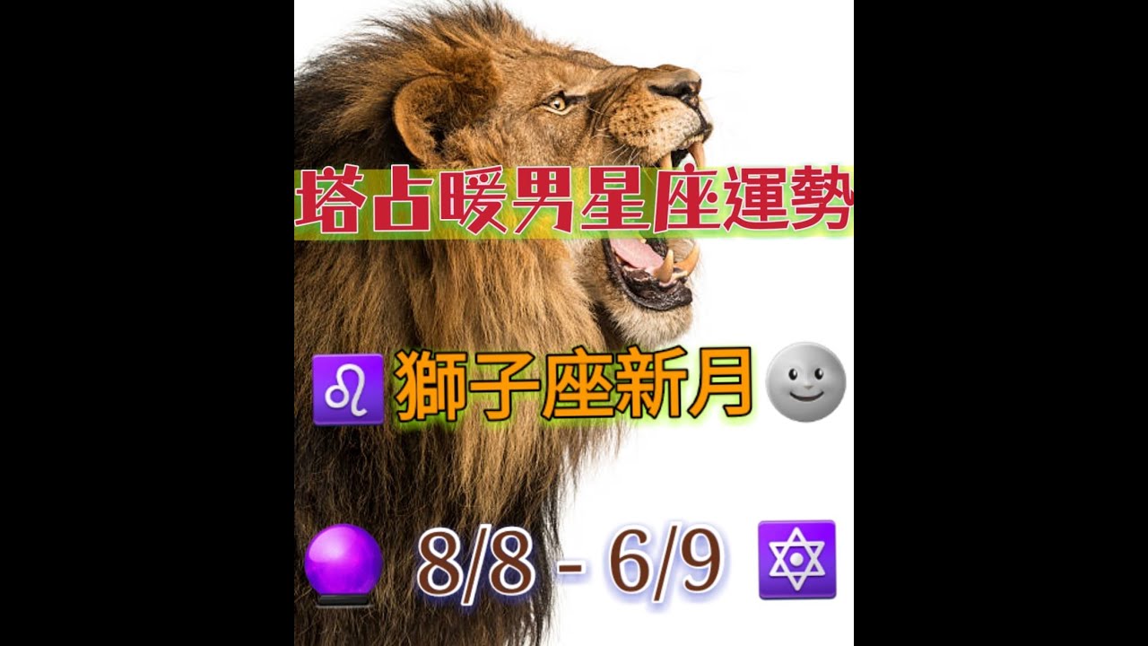 星座摩羯打一数字：3 (星座摩羯打一数)