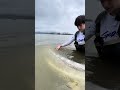 Releasing a Giant