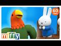 It S A Talking Parrot Miffy Cartoons For Kids It S A Talking Parrot Miffy Cartoons For Kids