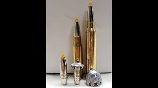 Ballistics testing the 30 cal 165 gr federal premium trophy tip at
high velocity out of a 300 win mag and low simulating long range 308
win...