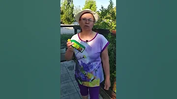 Есть простое средство от галовой тли и муравьев.