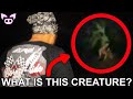 Unexplained Videos That Remain a Mystery