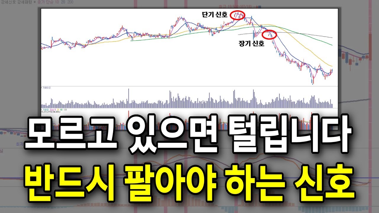 아무리 공부해도 수익이 안 쌓인다면 '이걸' 몰라서 그런 겁니다. 모르고 있으면 털리는 주식 매도 신호 강의 / 