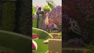 حديقة الزهور - دبي