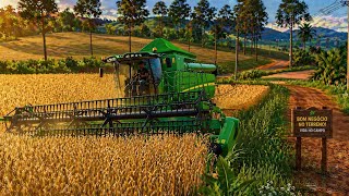 COMPREI UM TERRENO E SAI LUCRANDO /FS19 VIDA NO CAMPO!!