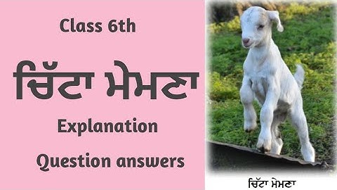Class  6 Punjabi chapter 2 | Chita Memna | 6th Class Punjabi Book Chapter 2 Lesson 2 | Solutions