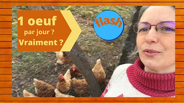 Pourquoi mes poules font des œufs mous ?