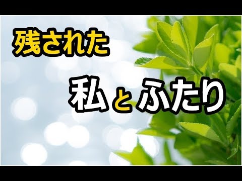 【感動する話】最後までバカですね【泣ける話】