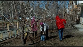 Субботники. Прошлое и настоящее