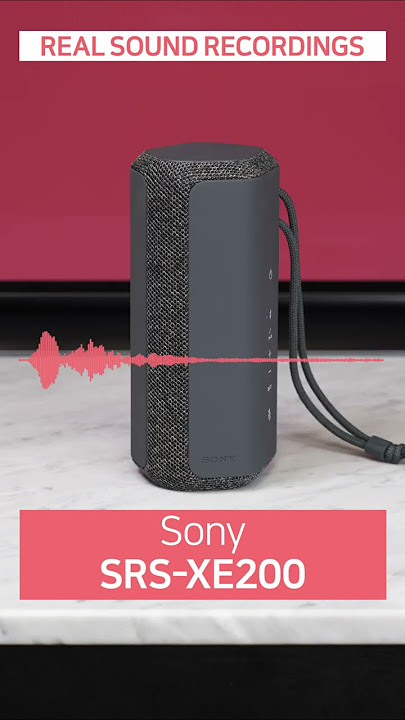 【REAL SOUND】 Sony SRS-XE300 🆚 SRS-XE200