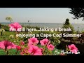 I'm Still Here | Taking A Long Break | Enjoying a Cape Cod Summer | The quiet joy of solitude