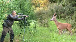 Lov srndaća kod Petrovca na Mlavi - Lovište Trest | Hunting Serbia - Roe deer hunting