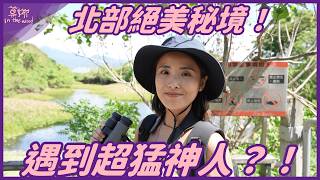 這仙境竟然在台北？帶著手機勇闖候鳥天堂「關渡自然公園」找達人！ft.第二十七屆台北國際賞鳥博覽會【莫娜 Moana】