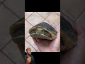 La tortuga perfecta 🐢