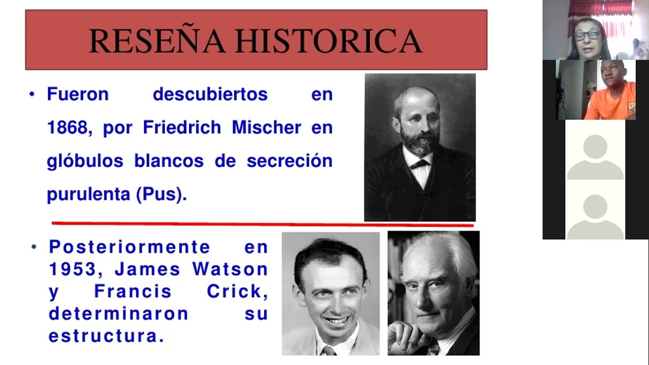 21/05/2021
SEMANA 14
BIOLOGIA 8-ADN-ARN(ácidos) ribonucleicos)