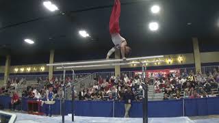 Donothan Bailey - Parallel Bars - 2020 Winter Cup Senior Prelims