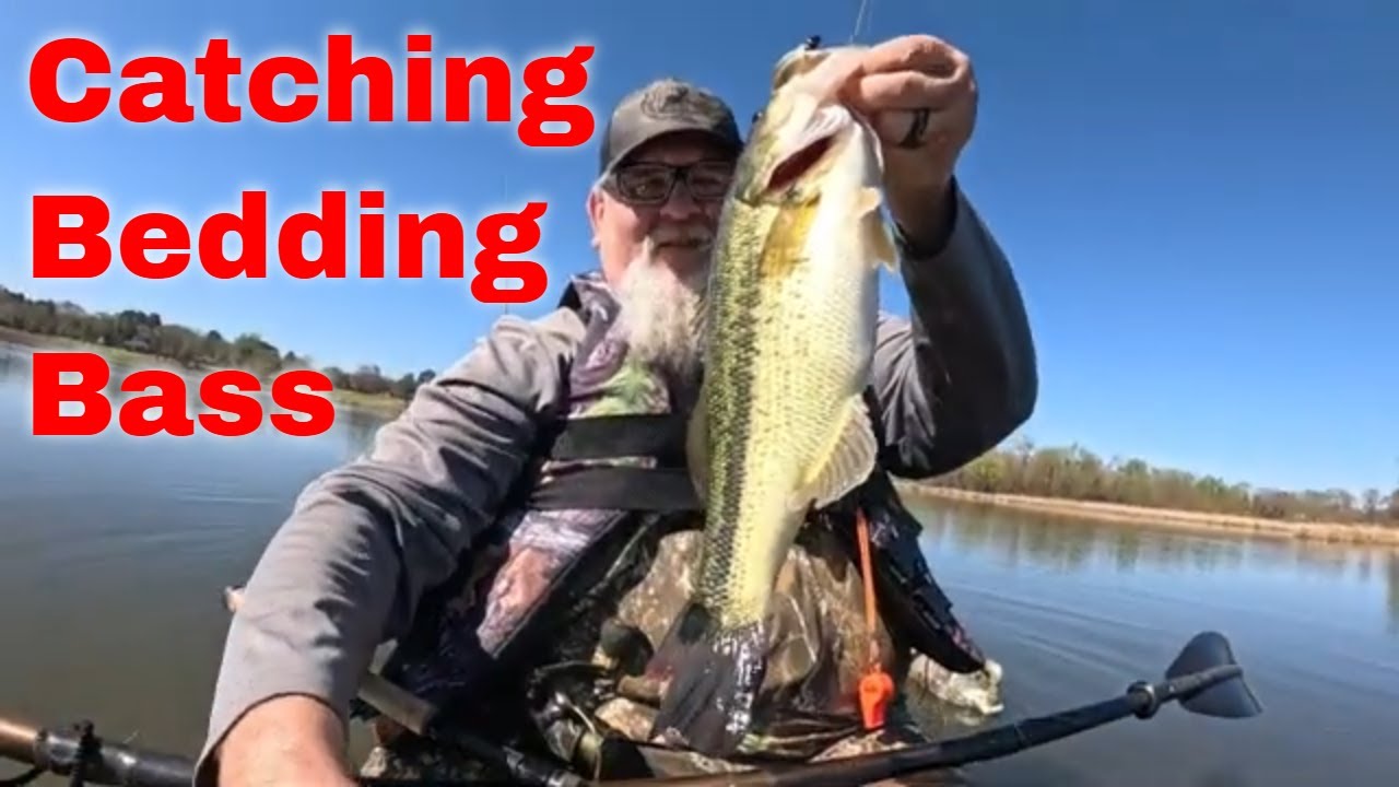 Catching Them Beded Bass #fishing #kayakfishingtips