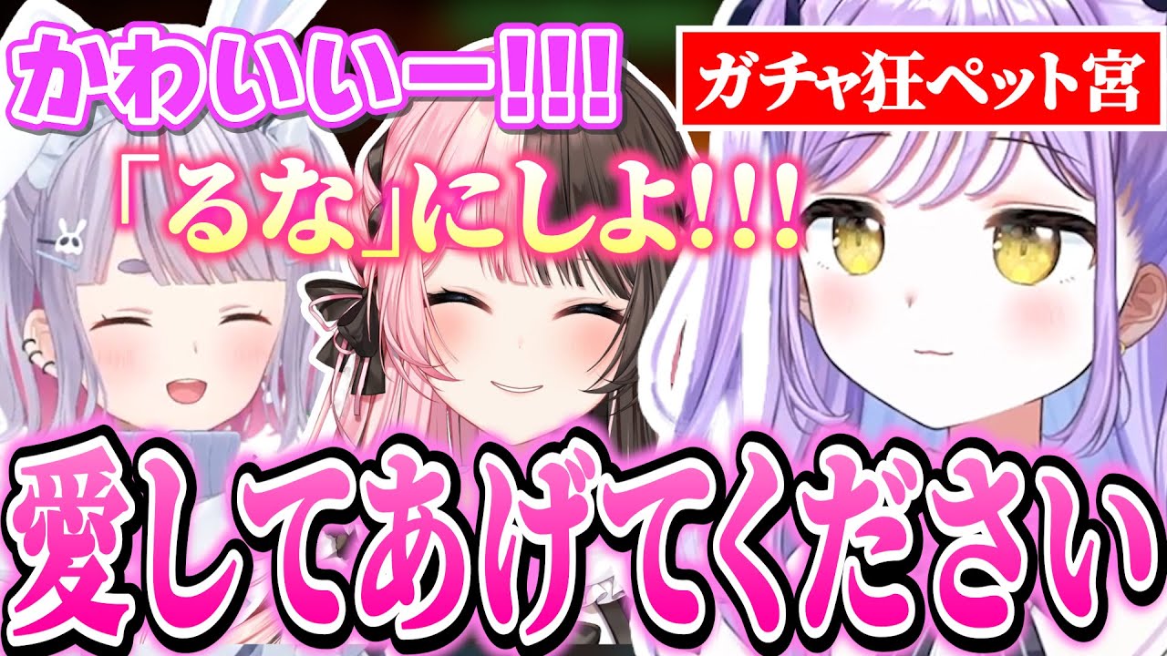 ガチャしまくって手に入れたペットを先輩にプレゼントする紫宮るな【VCR ARK/紫宮るな/橘ひなの/兎咲ミミ/小森めと/アステルレダ/ぶいすぽっ！/切り抜き】