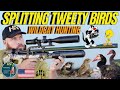 Splitting tweety birds with air gun hunting i fx wildcat mk3 air gun hunting i air gun pest control