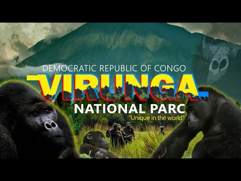 วีดีโอ: Virunga เป็นอุทยานแห่งชาติในสาธารณรัฐประชาธิปไตยคองโก คำอธิบายพืชและสัตว์ อุทยานแห่งชาติของสาธารณรัฐประชาธิปไตยคองโก: รายการ