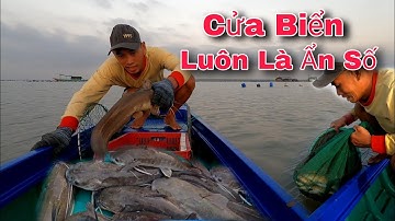 Chuyến Câu Đầu Năm Dính Cá Liền Lưỡi Gỡ Không Kịp | GĐCG #895