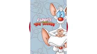 Pinky & The Brain (1995) Theme Song (V1) (Japanese) - YouTube