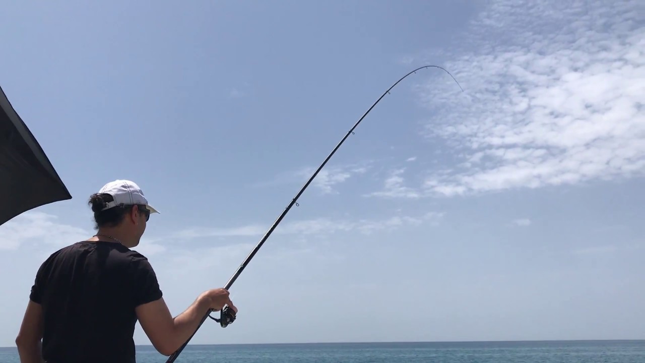 Pesca in mare con la bolognesespigola di inizio estate YouTube Pesca in mare con la bolognesespigola di inizio estate YouTube
