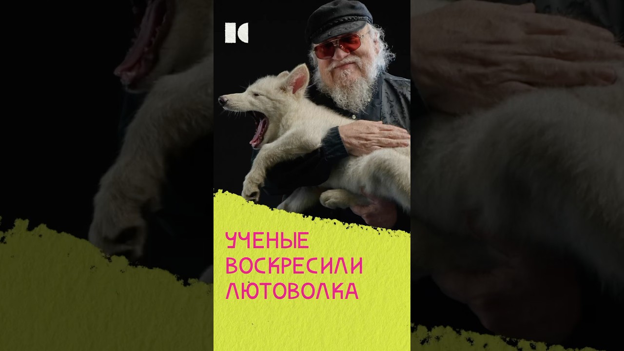 В США воскресили древних волков 
