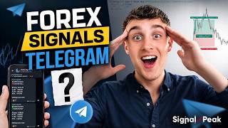 Forex Signals Telegram Forex Signal for Beginners Guide (2026)