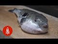 Manjares de alto riesgo: ¿te atreves a probar el tóxico pez globo?