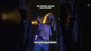 LED ZEPPELIN: THE MUD SHARK INCIDENT #shorts