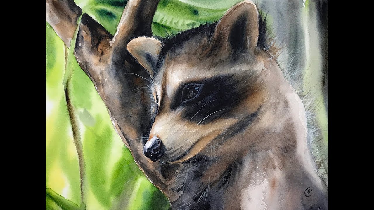 Watercolor Raccoon Painting Demonstration