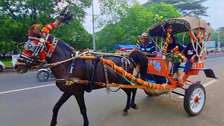 NAIK KUDA DELMAN ~ ONDEL ONDEL ~ BADUT LUCU ~ BALONKU ADA LIMA ~ SELAMAT ULANG TAHUN - BANGUN TIDUR
