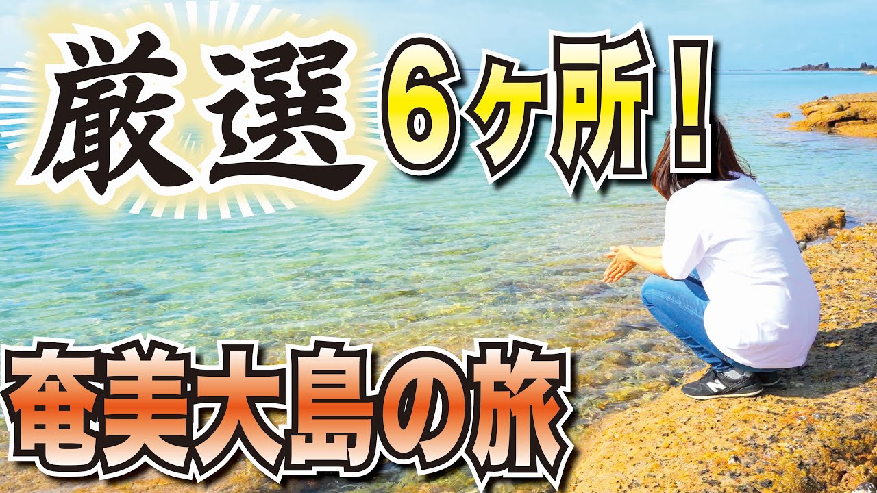【フェリー旅】奄美大島で定番からレアスポットまで、癒し&グルメを求めて行くならココ！！知れば知るほど奥深い奄美大島です。【離島旅】【夫婦視聴回数バトル#3】