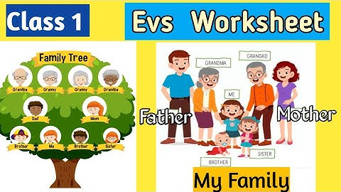 Class 1 Evs My family worksheet | Question Answer My family and me @smartmomseducation