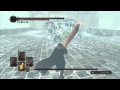 Dark Souls 2: The Black Swordsman vs Aava